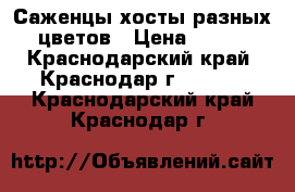 Саженцы хосты разных цветов › Цена ­ 150 - Краснодарский край, Краснодар г.  »    . Краснодарский край,Краснодар г.